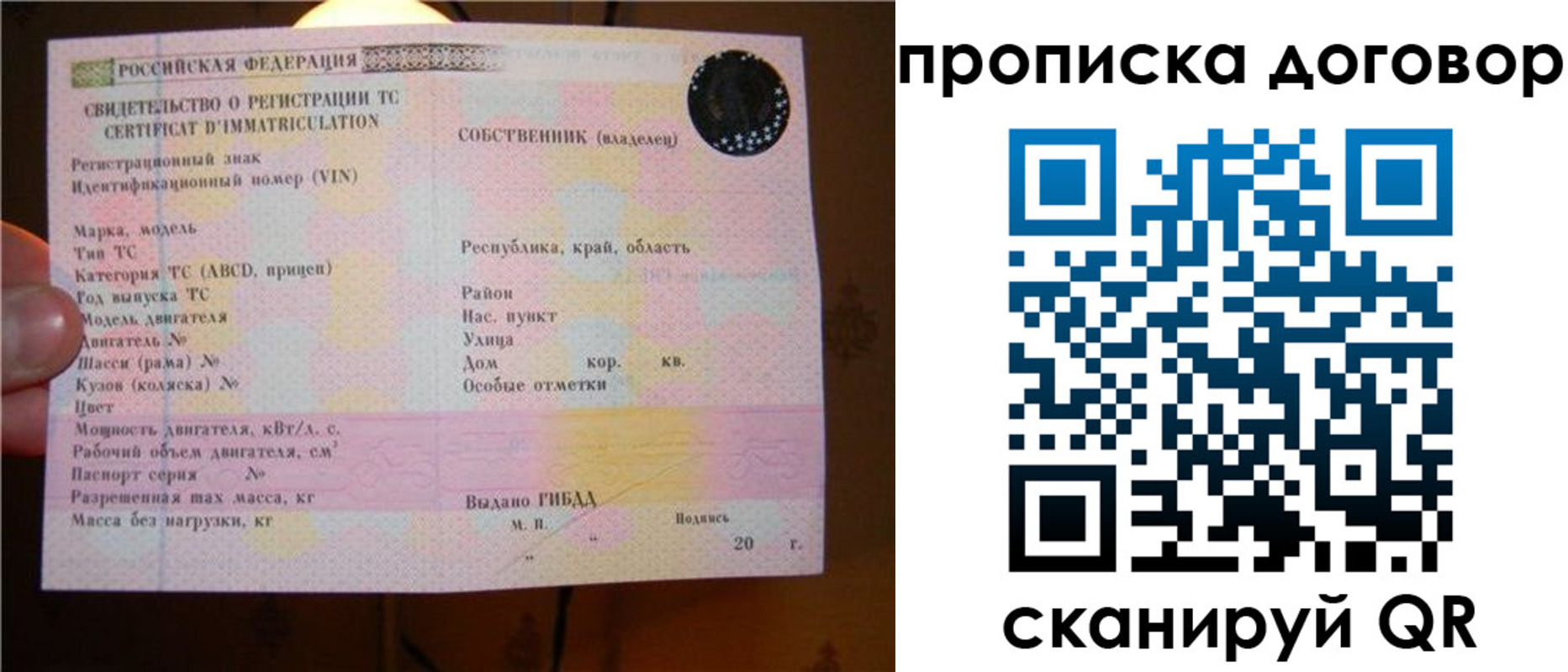 временная регистрация поиск в Мурманской области